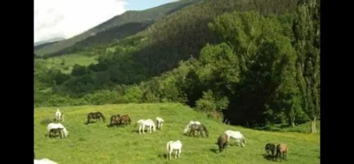 Casa Rural Pirineu Nevà — photo 11