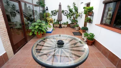 CASA RURAL QUIJOTE Y SANCHO — foto 6