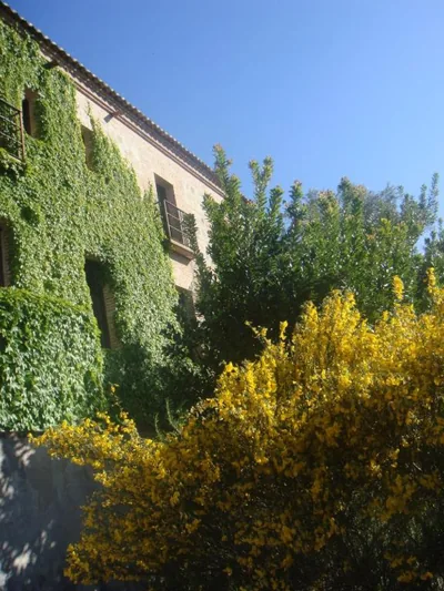 Casa Rural Rincón de la Fuente — photo 10
