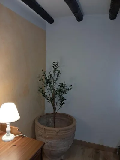 CASA RURAL RUTA DEL AGUA 4 hab al lado Monasterio de Piedra — 写真 7