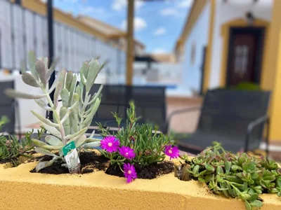 Casa Sandia — Foto 9