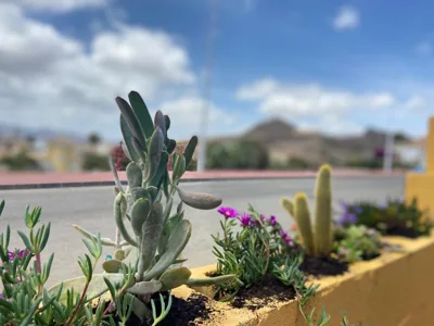 Casa Sandia — Foto 10