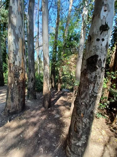 CASA SENDERO DEL RIO — foto 12