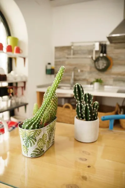 Casa singular y con encanto — 写真 10