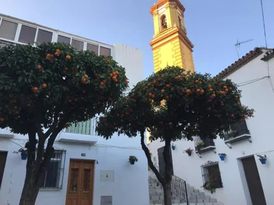 Casa Sirena — foto 10
