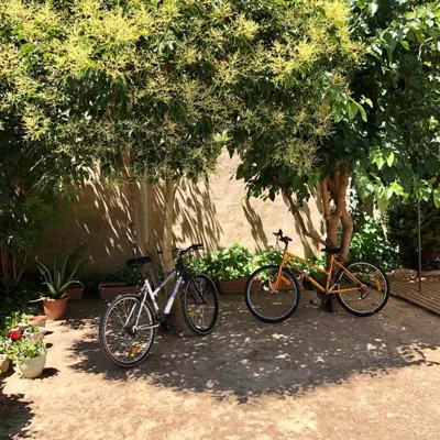 Casa Solariega — photo 10