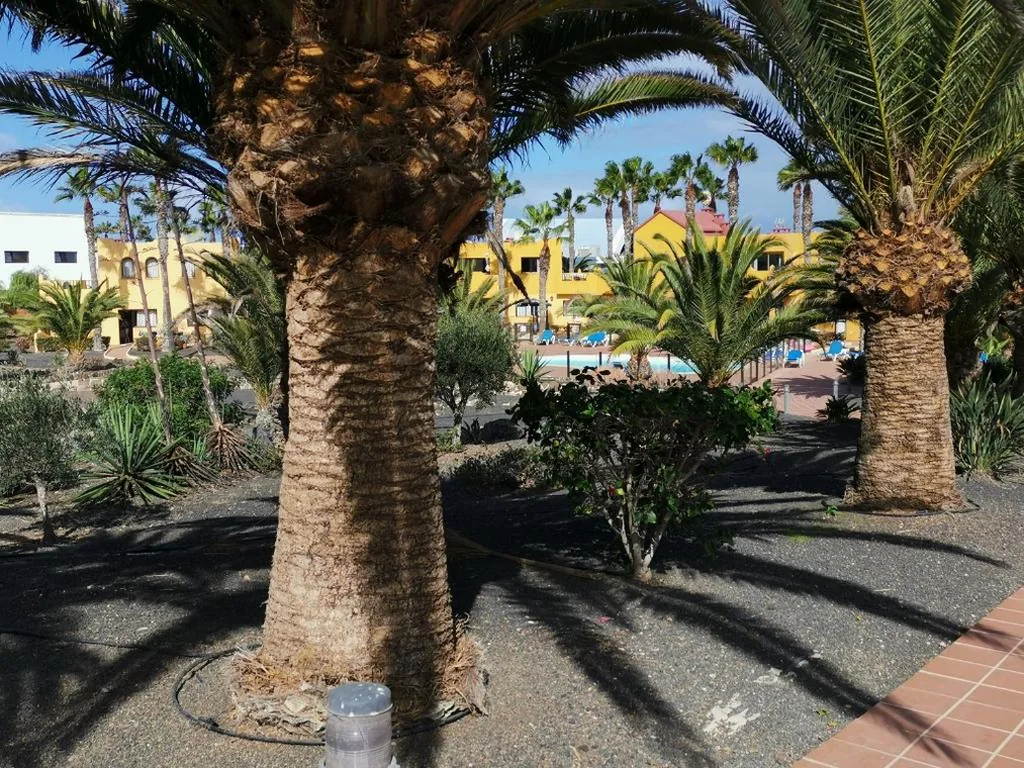 Casa con 2 camere da letto — casa Sun&Sand Corralejo
