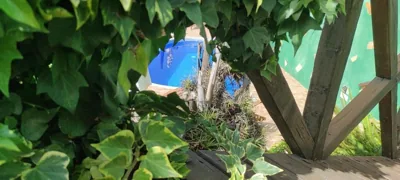 Casa Tata — foto 5