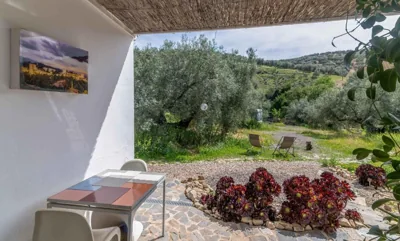 Casa Valle de Oro — 写真 8