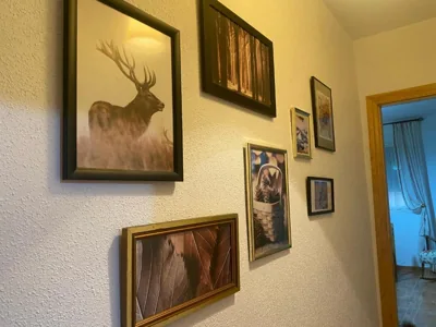 Casa Veva Tradición- Siles- — foto 11