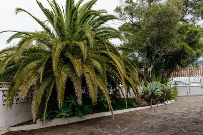 Casa Vidana con jardín privado y pista de pádel — 写真 10