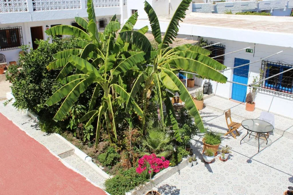 Habitación Doble con patio — Casaflor