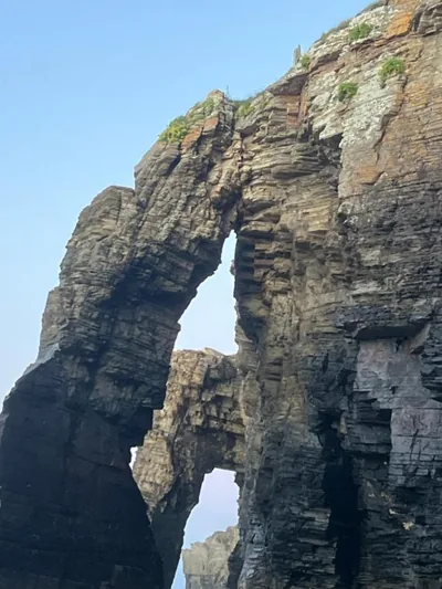 Casal de pelaio — Foto 8
