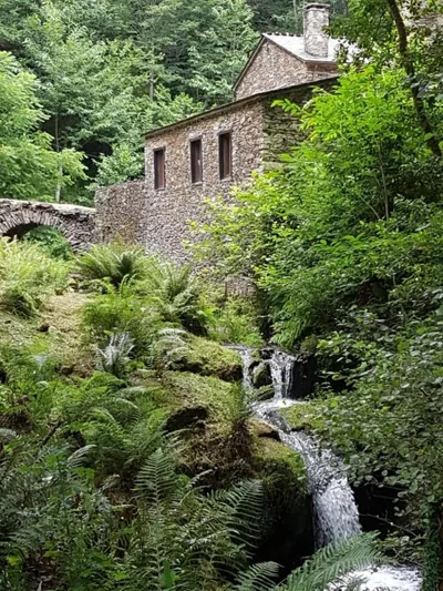 Casas del Molino - Muiños do Mainzoso Turismo Rural — foto 9