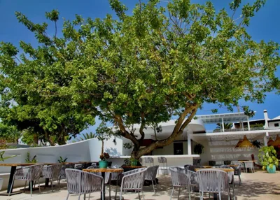 Casas Heddy, Well-being Resort — foto 12