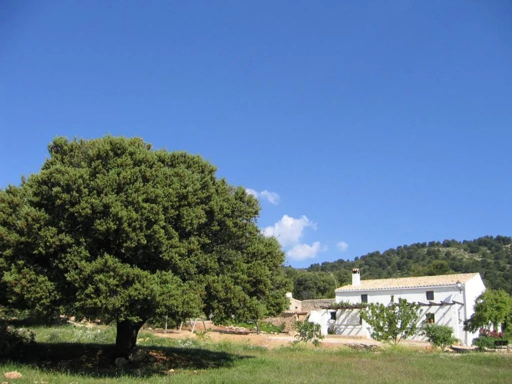Casa con 6 camere da letto — Casas Rurales Cortijo Cerro Fuentes Nuevas