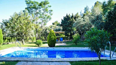 Casas Rurales Los Algarrobales — foto 6