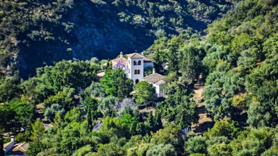 Casas Rurales Los Algarrobales — foto 9