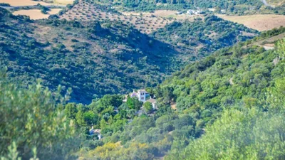 Casas Rurales Los Algarrobales — foto 11