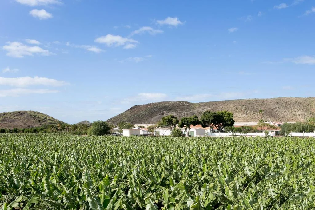 Ferienhaus mit 3 Schlafzimmern — Caserío de Guaza