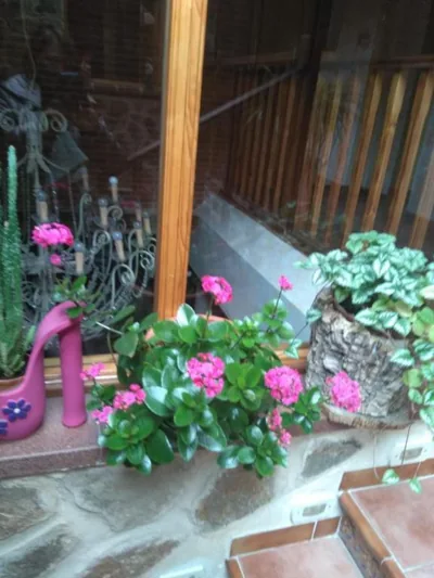 Caserón Trastamara — foto 11