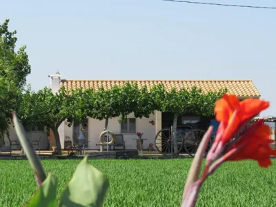 Caseta Montanyana — foto 12