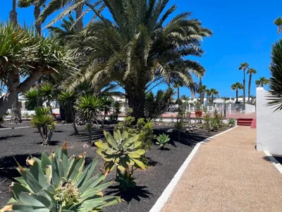 Casita Blanca, Jardín del Sol 1 — foto 7