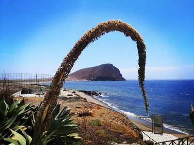 Casita Canaria — foto 6