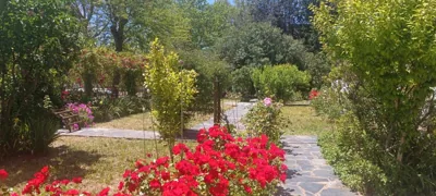 Casita de Esperanza — foto 10