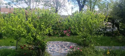 Casita de Esperanza — foto 12