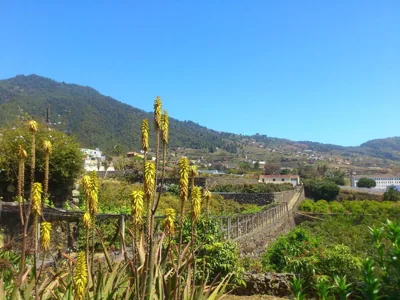 Casita del Medianero — foto 7