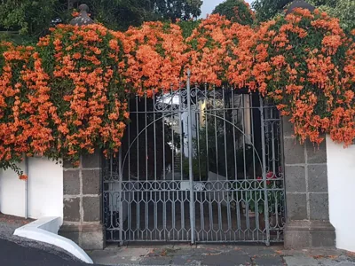 Casita del Medianero — foto 11