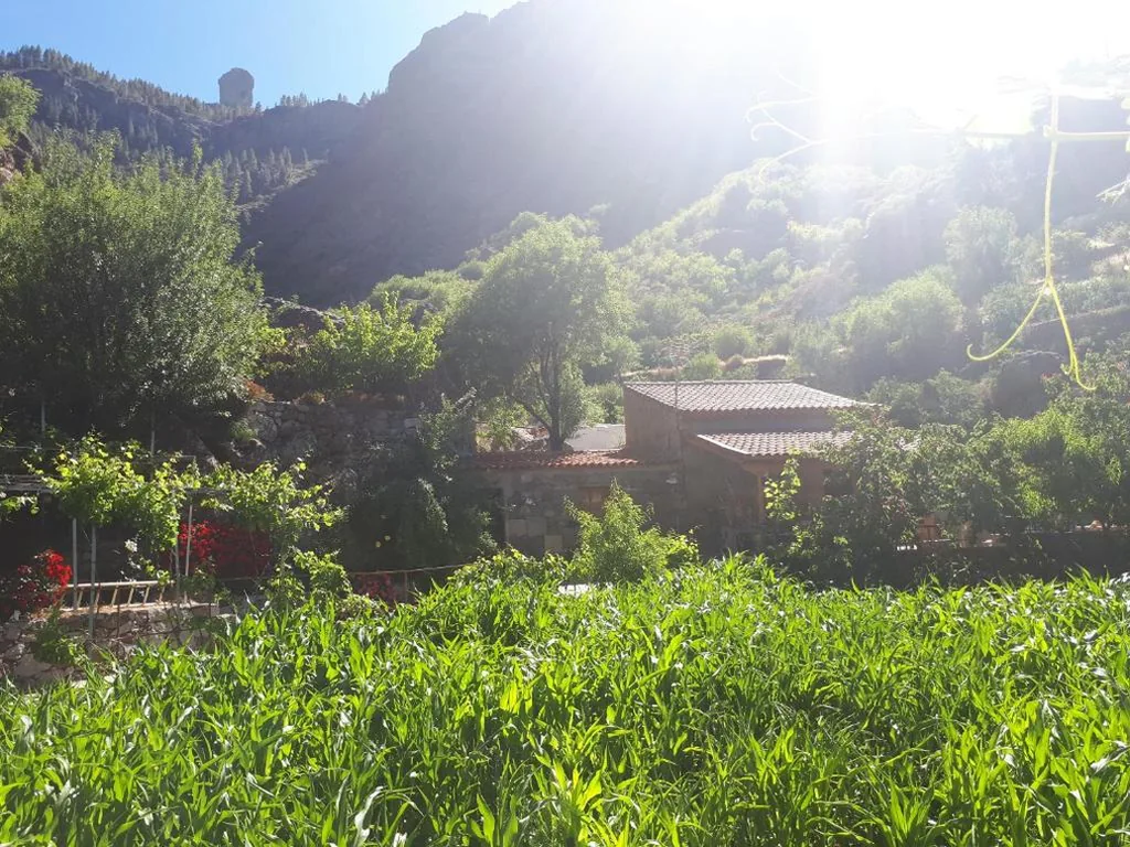 Casa com 2 quartos — Casita el Parral