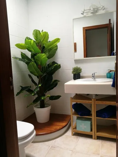 Casita La Concha — 写真 8