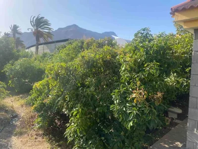 Casita Lily — foto 10