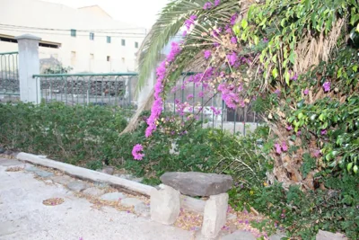 Casita Lily — foto 12