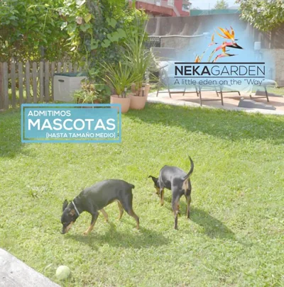CASITA NEKAGARDEN — foto 10