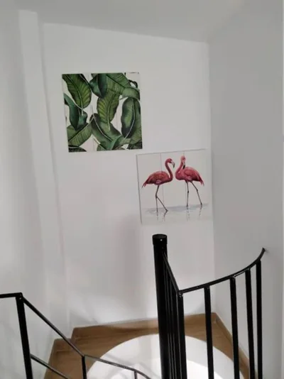 CASITA PINYPON — photo 11