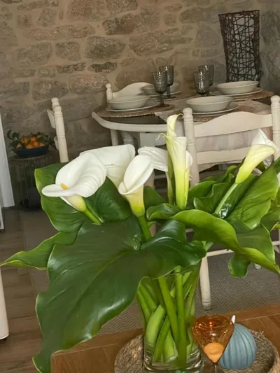 Casita puerto maritimo — foto 7