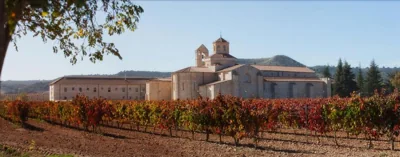 Castilla Termal Monasterio de Valbuena - Small Luxury Hotels — foto 7