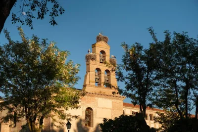 Castilla Termal Olmedo — foto 2