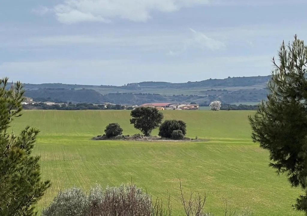 Castillo de Corvinos