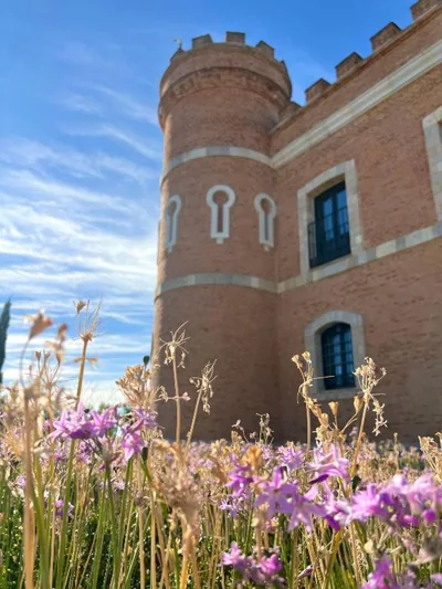 Castillo de Monte la Reina Posada Real & Bodega — foto 11
