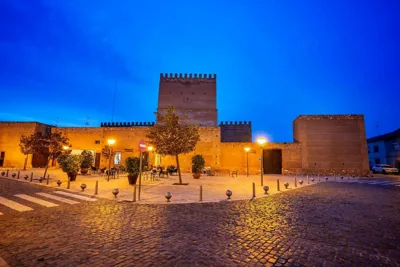 Castillo De Pilas Bonas — photo 8