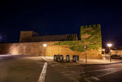 Castillo De Pilas Bonas — photo 11