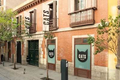 Cats Hostel Madrid Sol — Foto 6