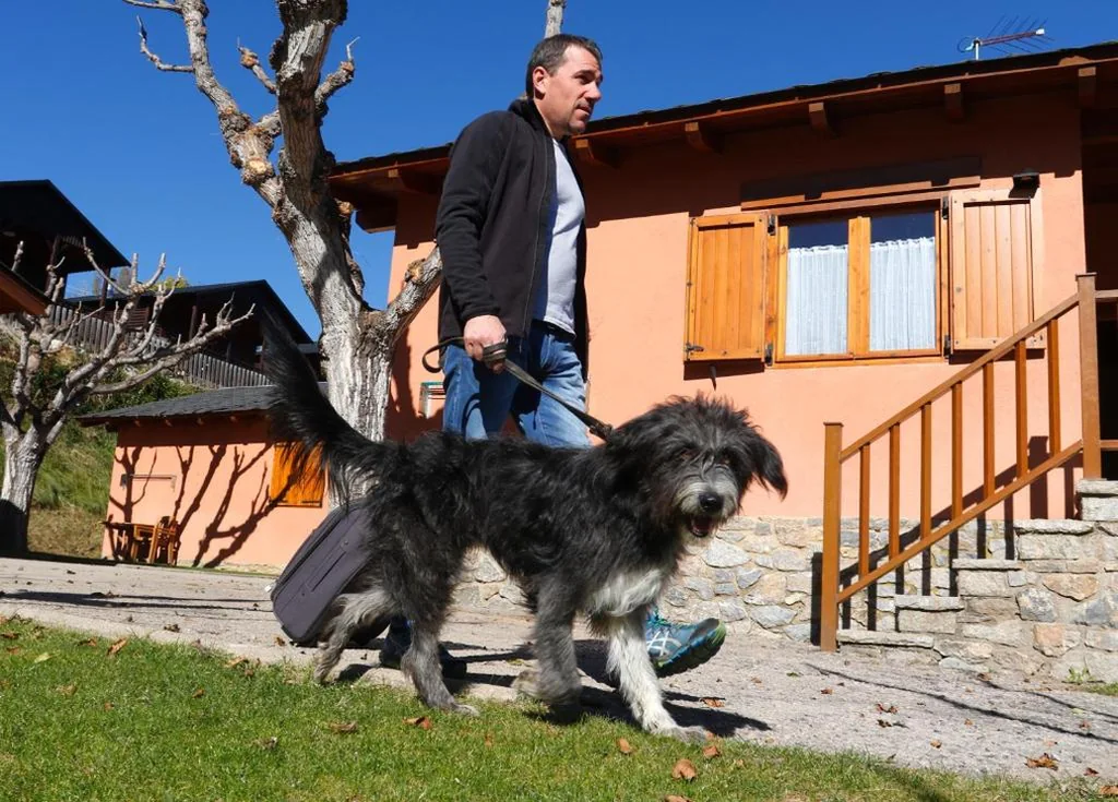 Bungalow de 2 dormitorios (4-6 adultos) — Cerdanya Viva Ecoestades