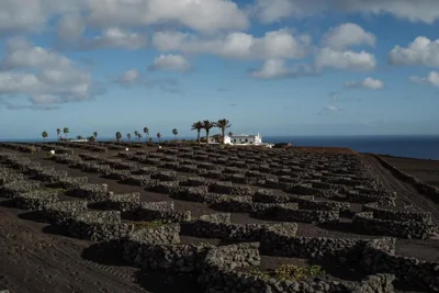 César Lanzarote Luxury Boutique Hotel - Adults Only — Foto 7