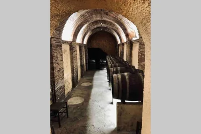Chalet Individual con bodega, en el corazón de La Rioja — 写真 9
