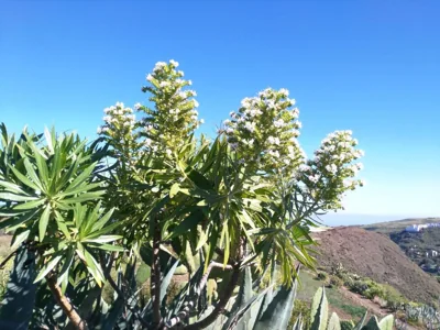 Chalet Ruta Las Lagunetas — 写真 11